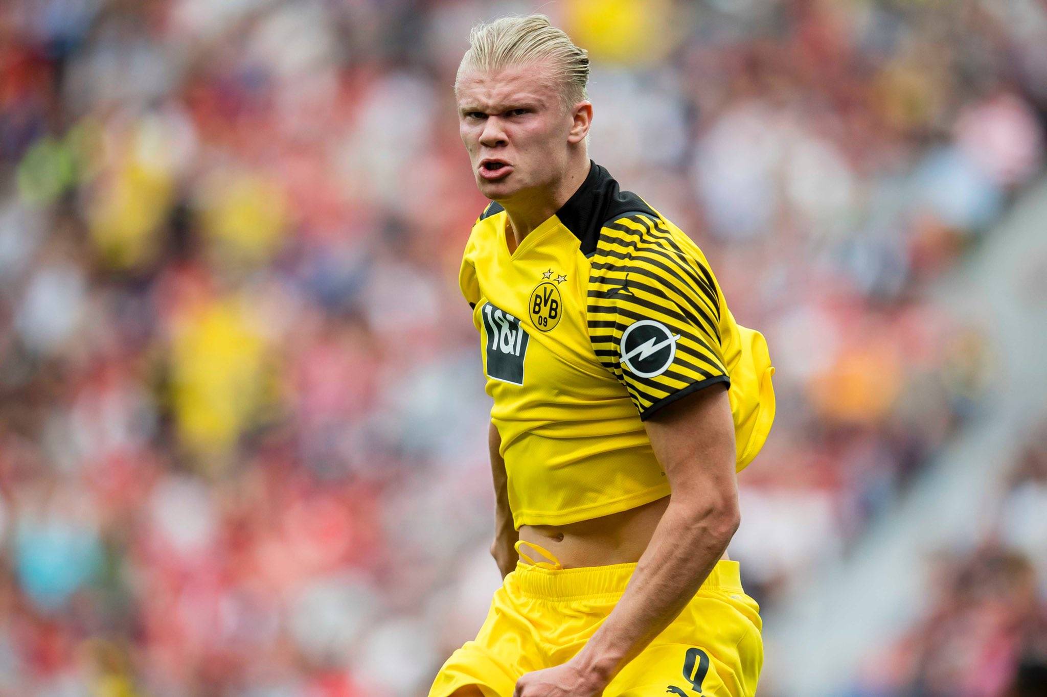 既承认阵容 既承认阵容